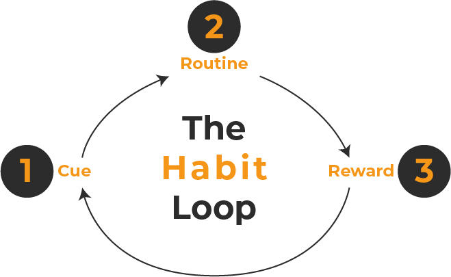 The Psychology of Habits: How to Rewire Your Brain for Success