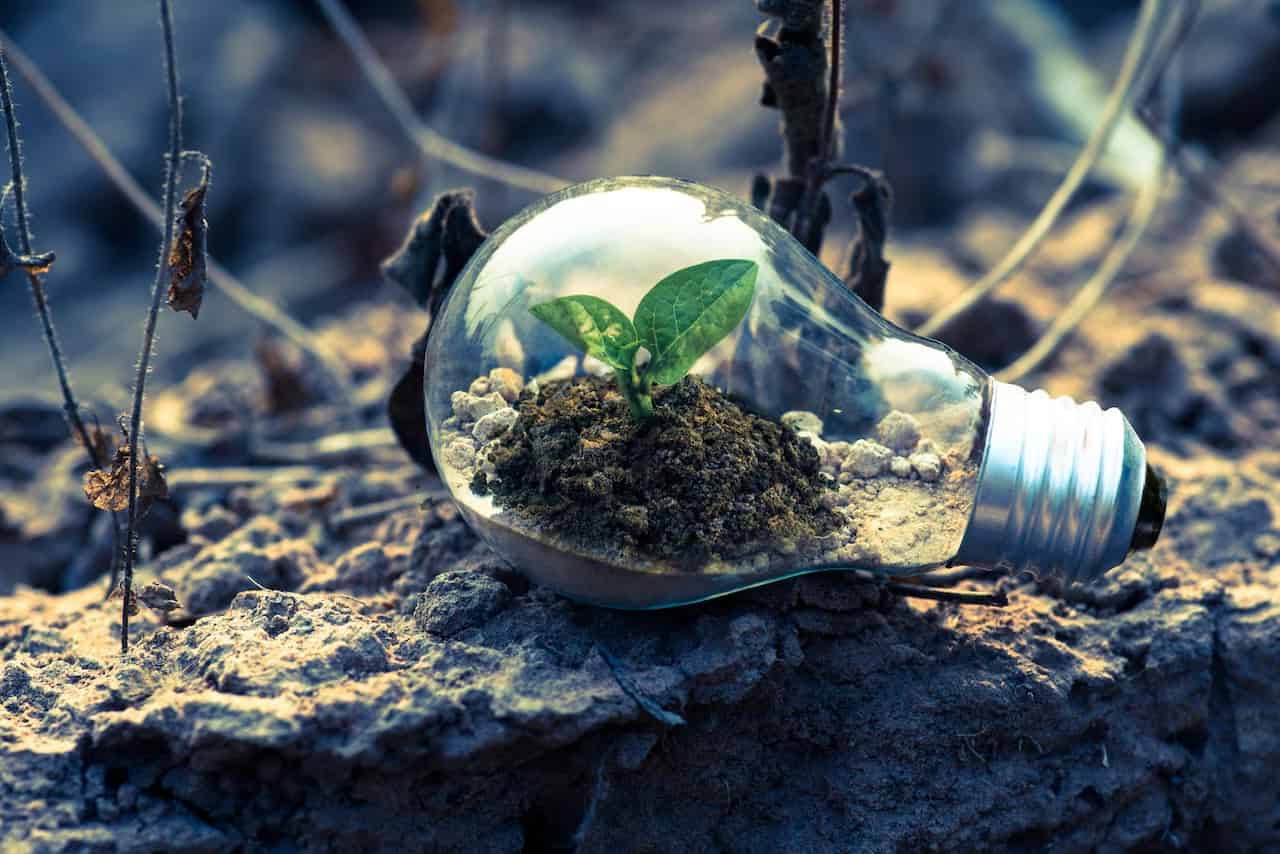 The Rise of Sustainable Tech: How Innovation Can Help the Planet